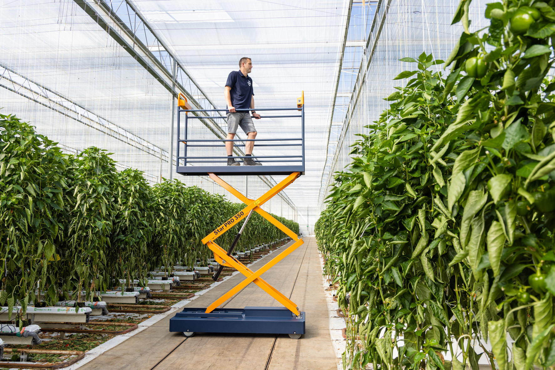 20220621 MCH 0248 LR